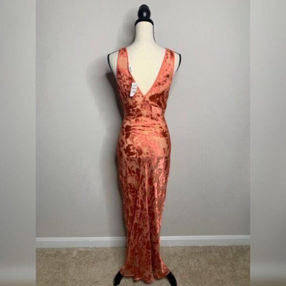 Rolla's Anthropologie Eliza Peach Sheer Midi/Maxi Dress - Picture 8 of 13